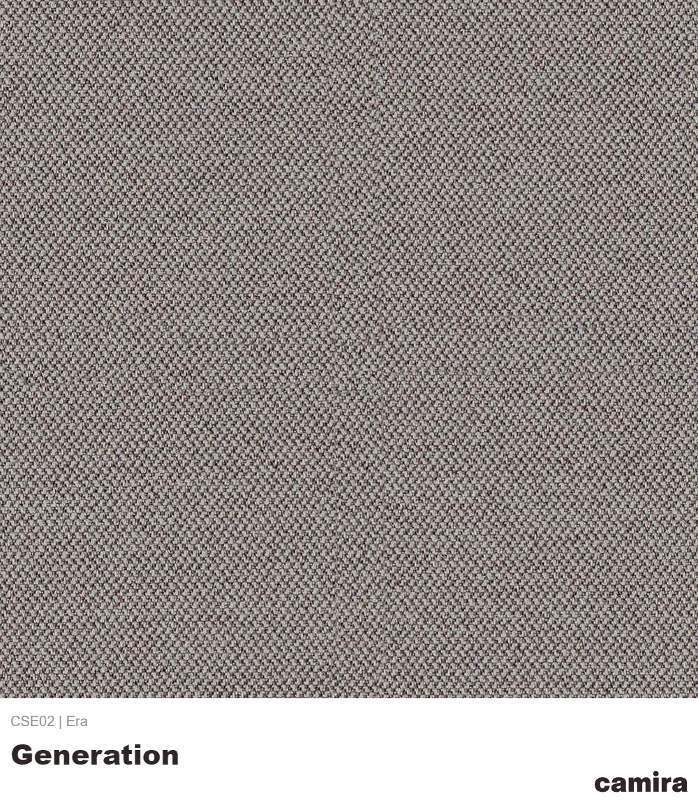 Era-CSE02-Generation