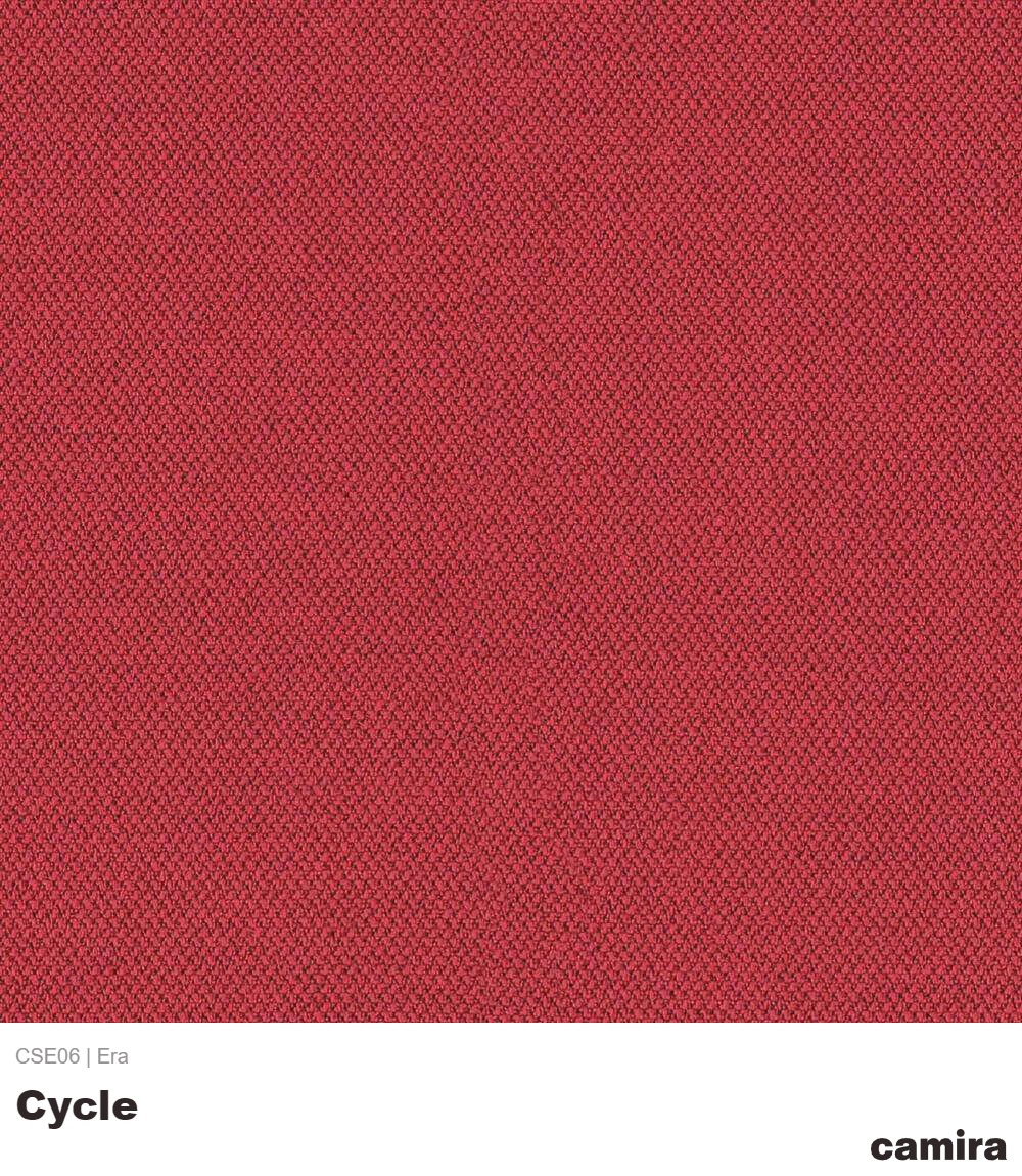 Era-CSE06-Cycle