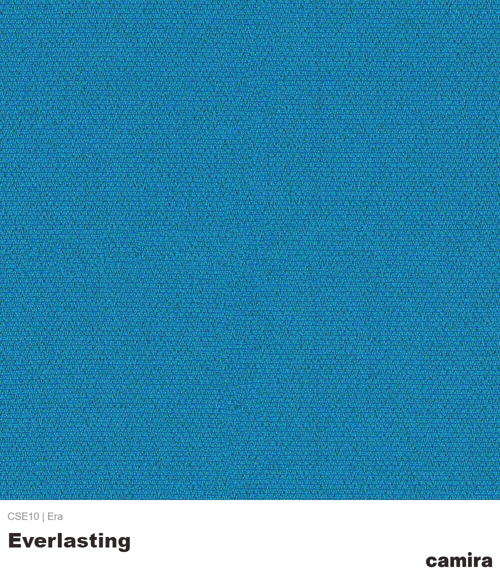 Era-CSE10-Everlasting