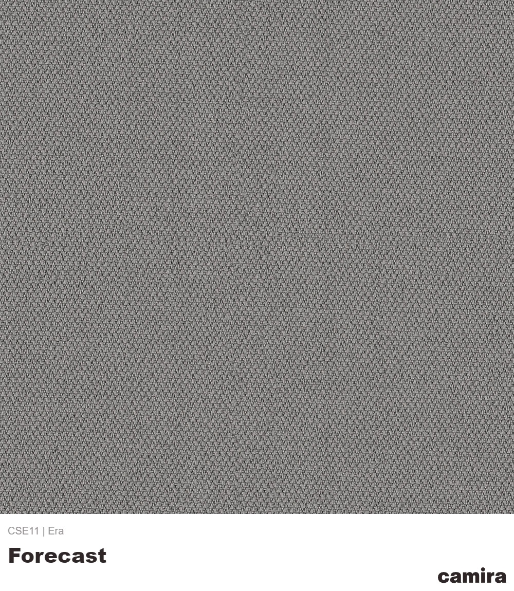 Era-CSE11-Forecast