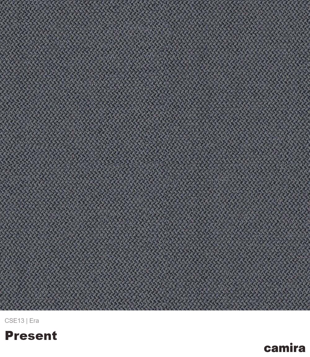 Era-CSE13-Present