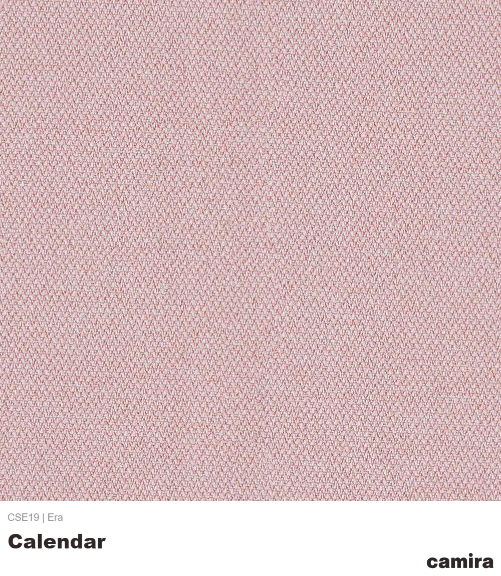 Era-CSE19-Calendar