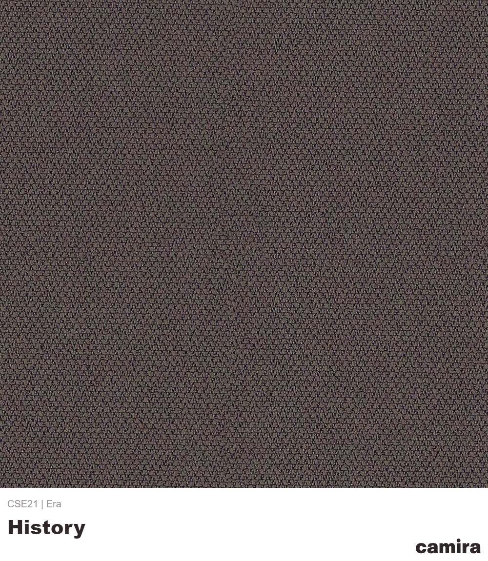 Era-CSE21-History
