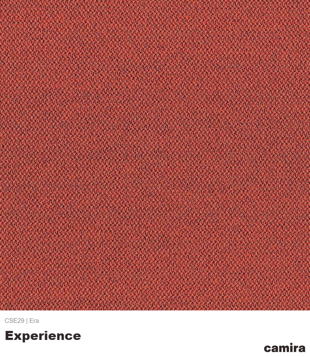 Era-CSE29-Experience