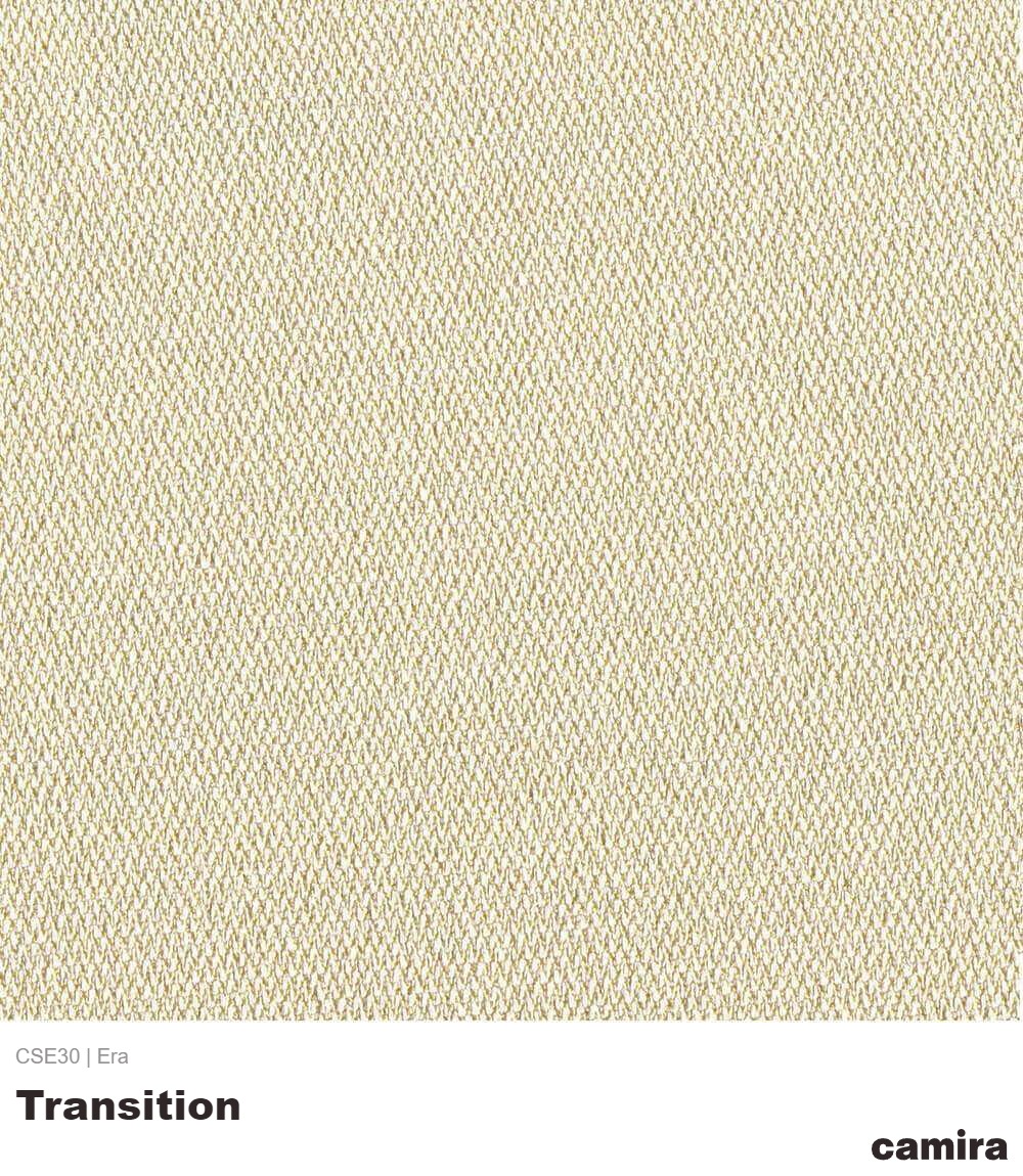 Era-CSE30-Transition