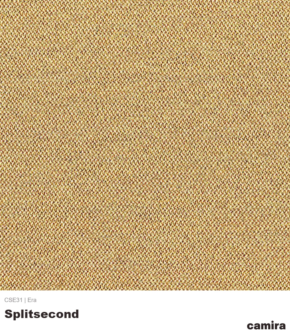 Era-CSE31-Splitsecond