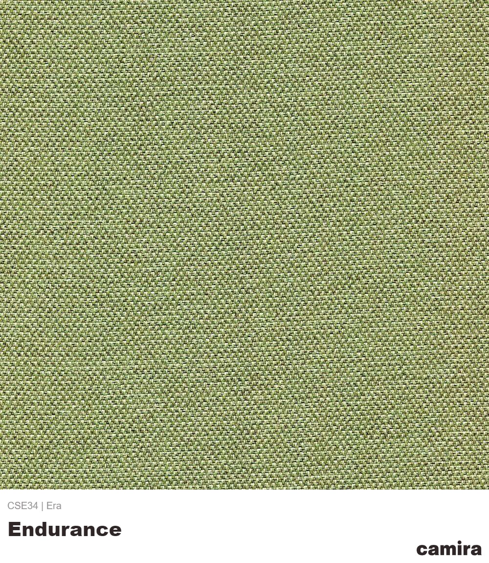 Era-CSE34-Endurance