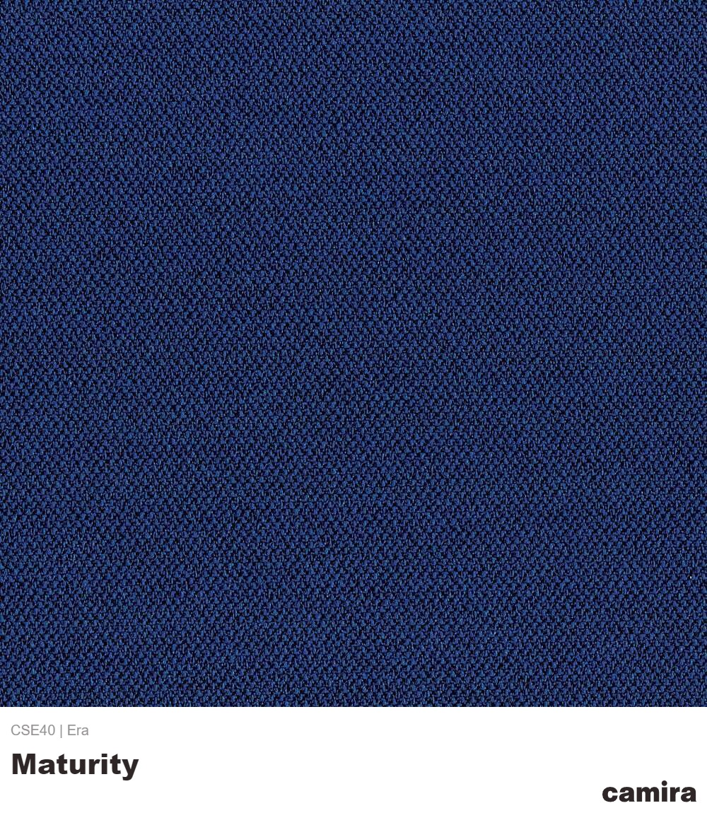 Era-CSE40-Maturity