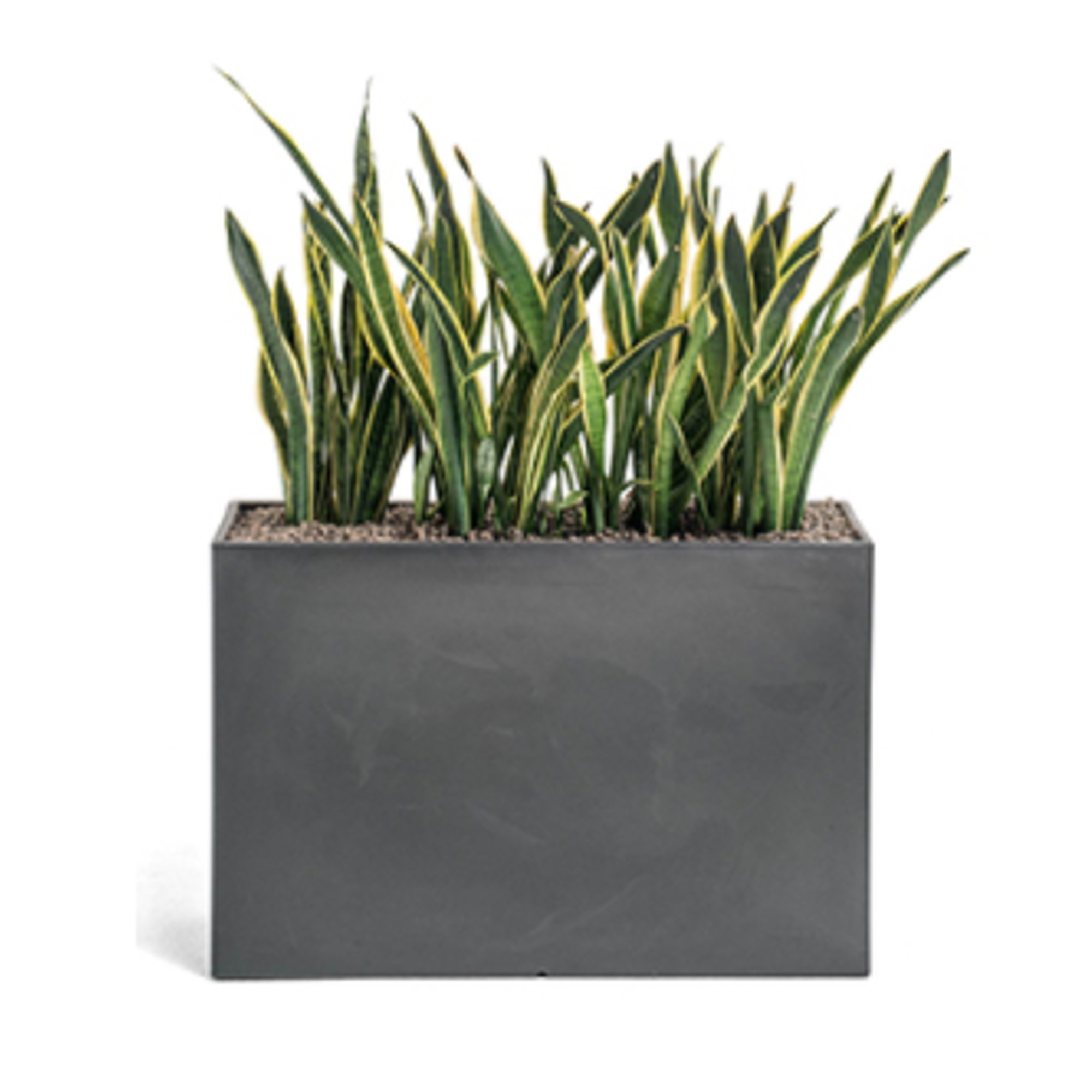 Kado Planter Space Devider