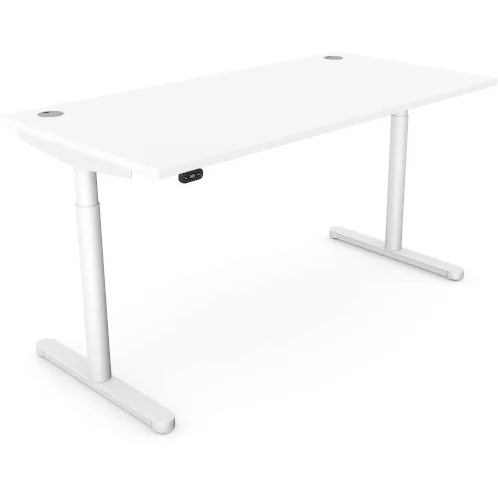 RoundE Electric Sit Stand Desk