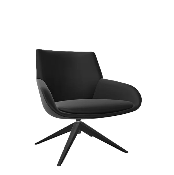 Noom10-WoodStarBlackBeech_604x800