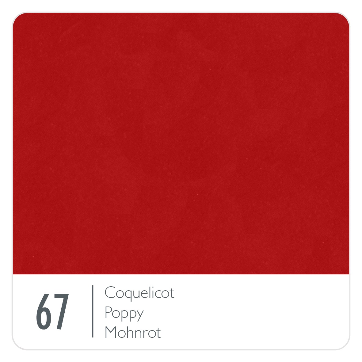 67-COQUELICOT