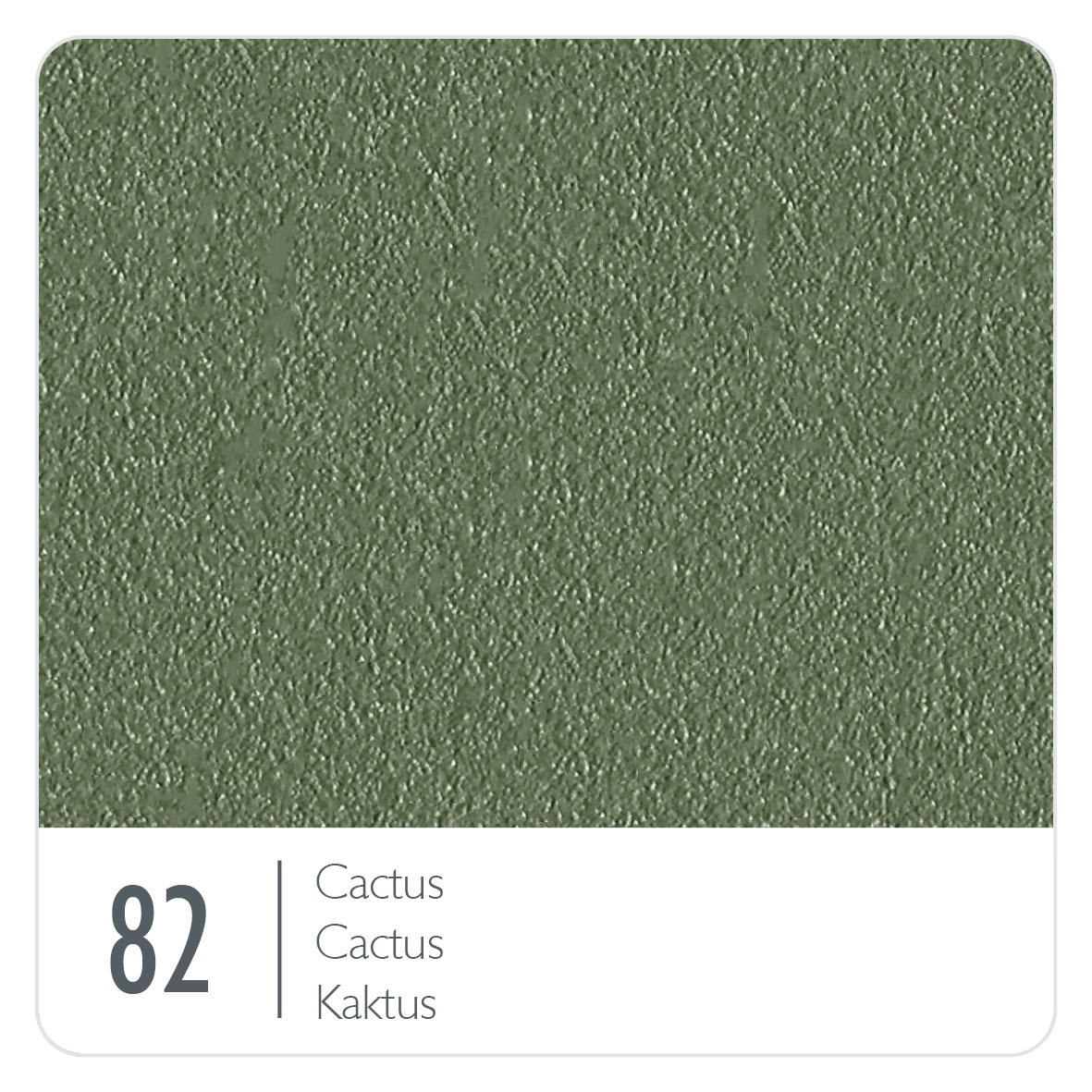 82-CACTUS
