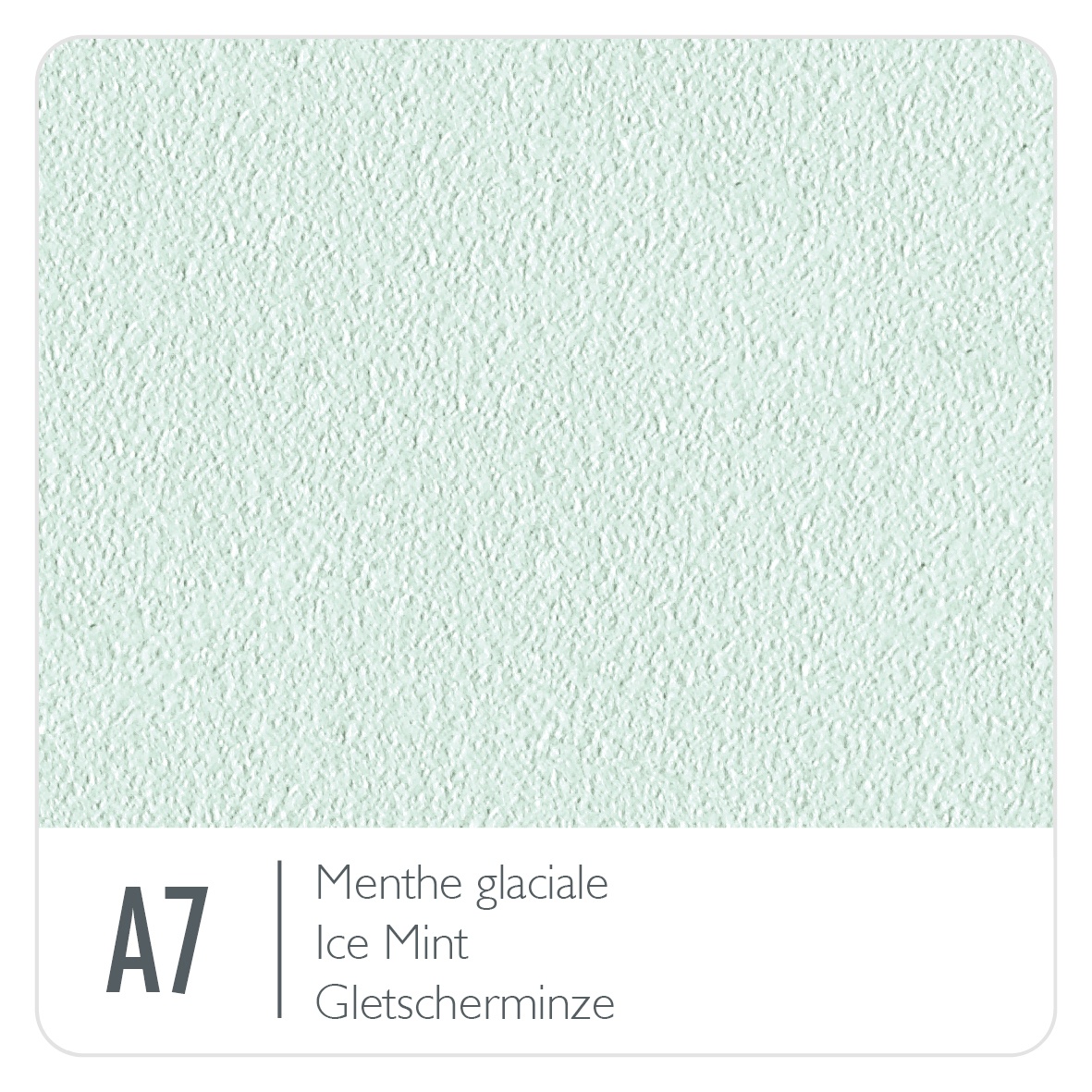 A7-MENTHE_GLACIALE