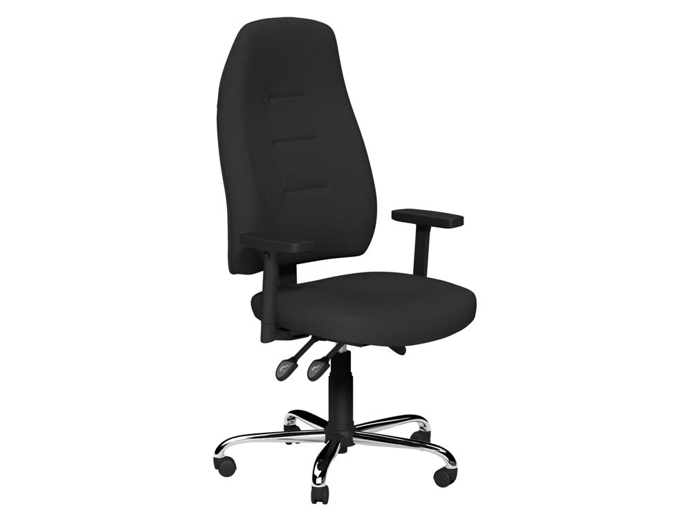 Positura Ergonomic Office Chair